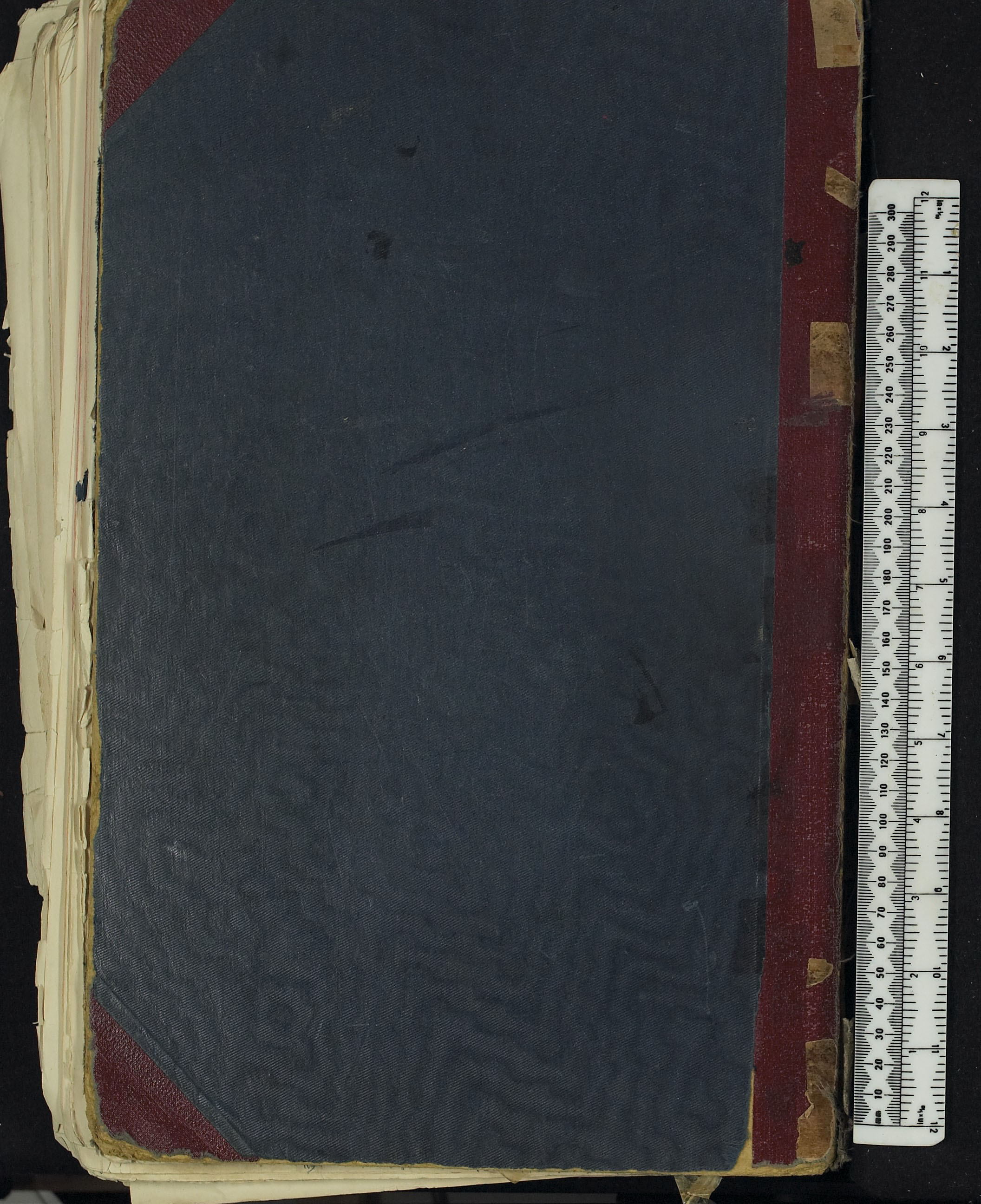 z-rearcover.jpg